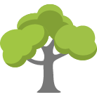 Lafayette Tree Removal Service