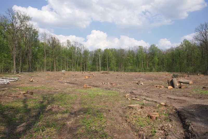 Landscape Restoration